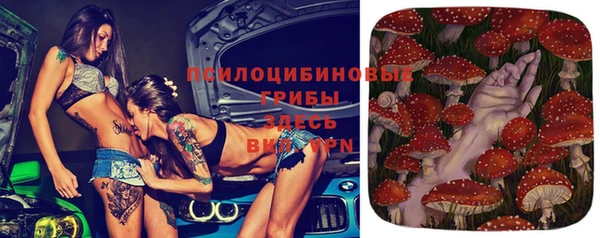 таблы Краснослободск