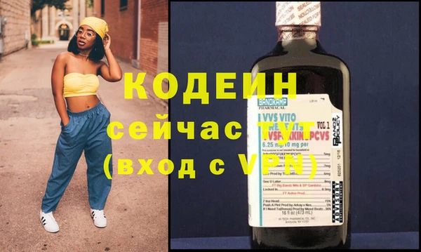 шишки Бердск